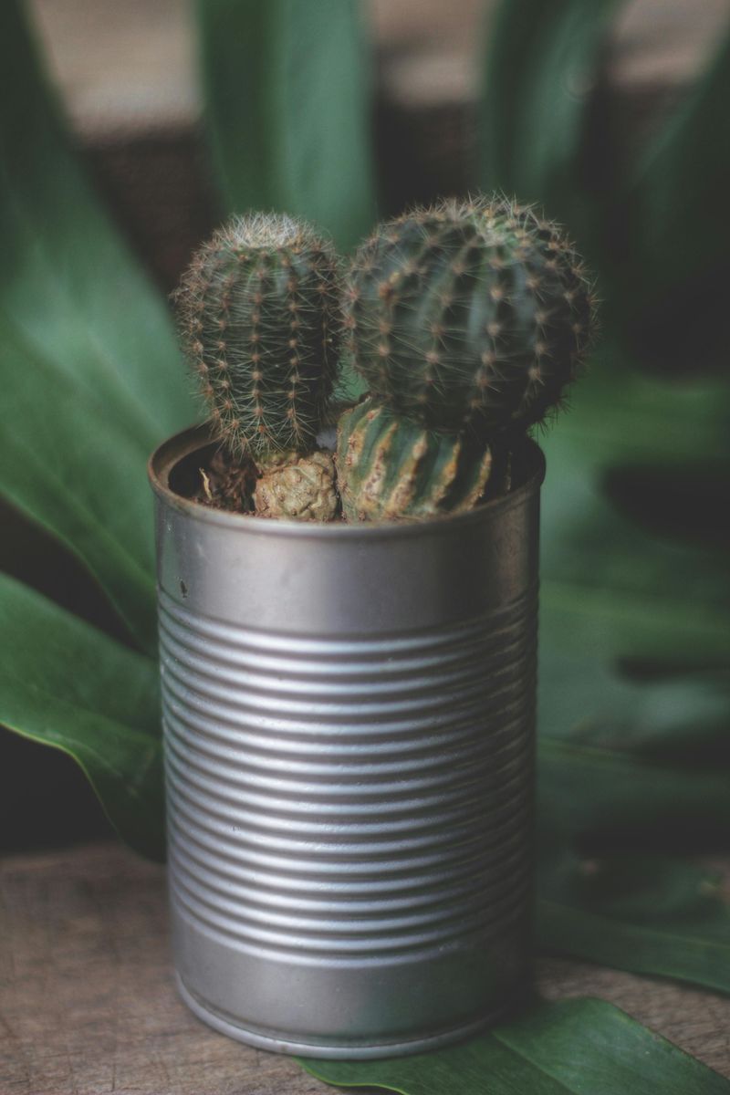9 Creative DIY Home Decor Ideas Using Recycled Items - Decor Hint Garden Glam: Tin Can Planters