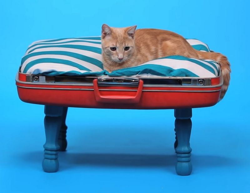 27 Quick, Easy Upcycling Hacks Anyone Can Do - Decor Hint Vintage Suitcase Pet Bed