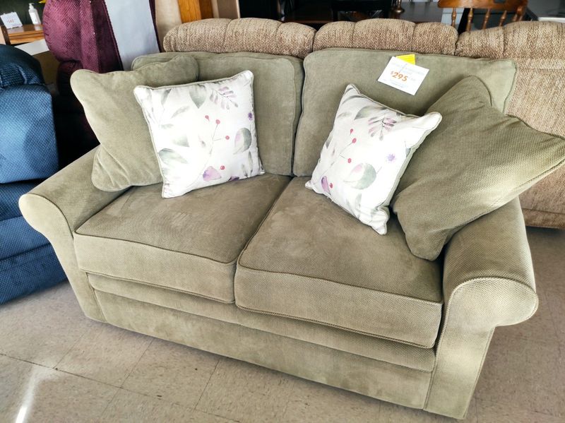 8 Couch Colors Making Arizona Living Rooms Look Stuck In The Past, And 9 Fresh Picks Designers Love - Decor Hint Sage Green: The Desert Garden Inspiration