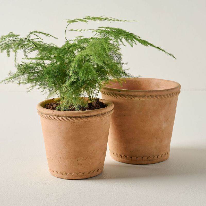 15 Home Decor Items Gaining Popularity In California Homes For 2025 Plus 5 Trends Already Hot - Decor Hint Terracotta Planters