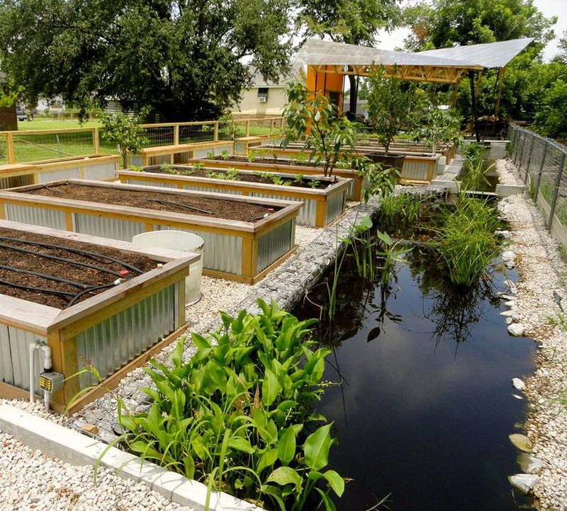 7 Backyard Mistakes To Fix In New Orleans (And 7 Ideas To Improve Value) - Decor Hint Poor Drainage Solutions