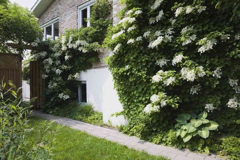 Vertical Garden Elements