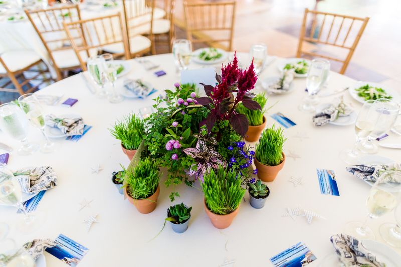 9 Simple, Chic Ideas To Give Your Garden Party A Stunning Wow Factor - Decor Hint Potted Herb Centerpieces