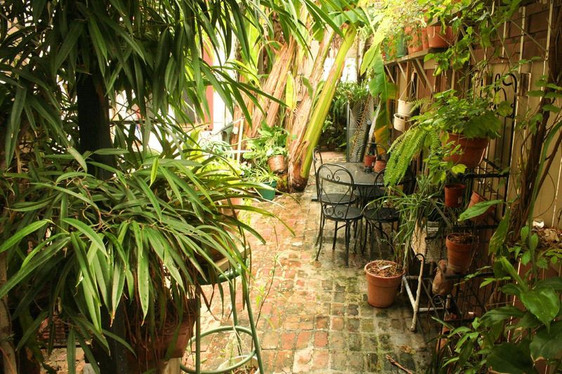 7 Backyard Mistakes To Fix In New Orleans (And 7 Ideas To Improve Value) - Decor Hint Neglecting Mosquito Control