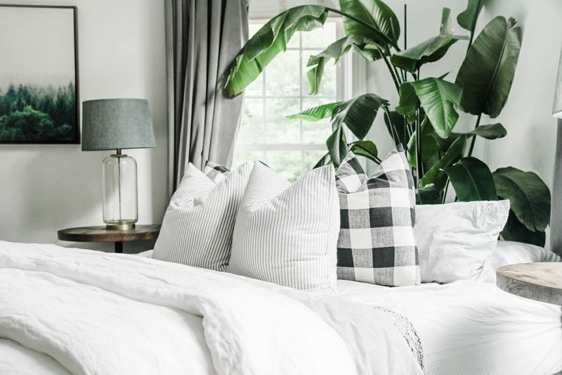 Curated Throw Pillows