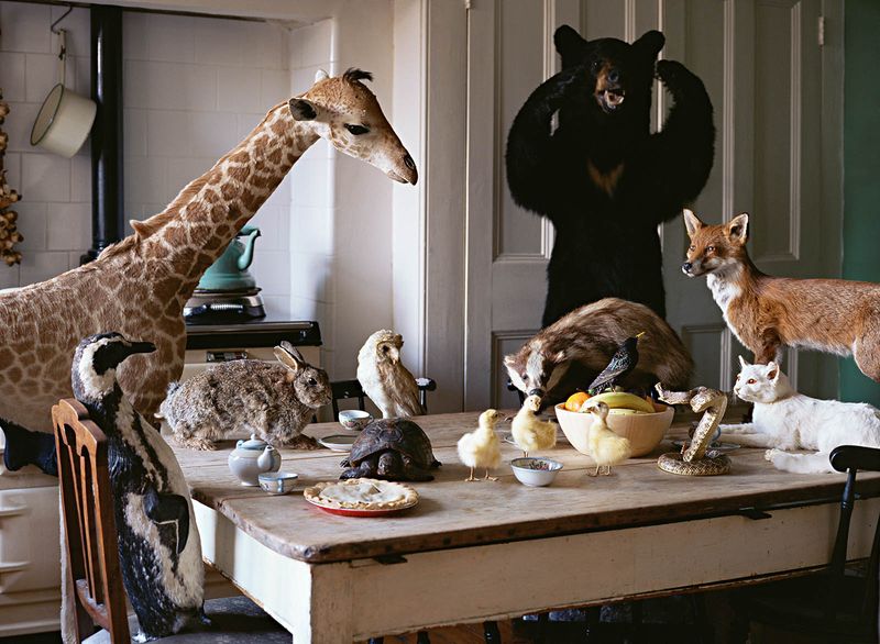 9 Vintage And Antique Decor Pieces You Should Avoid Having In Your Home And 9 To Own Instead - Decor Hint Avoid: Taxidermy Animals