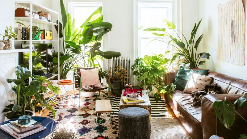 11 Game-Changing Decorating Tips From Our Editors' Favorites - Decor Hint Incorporate Plants for Freshness and Color