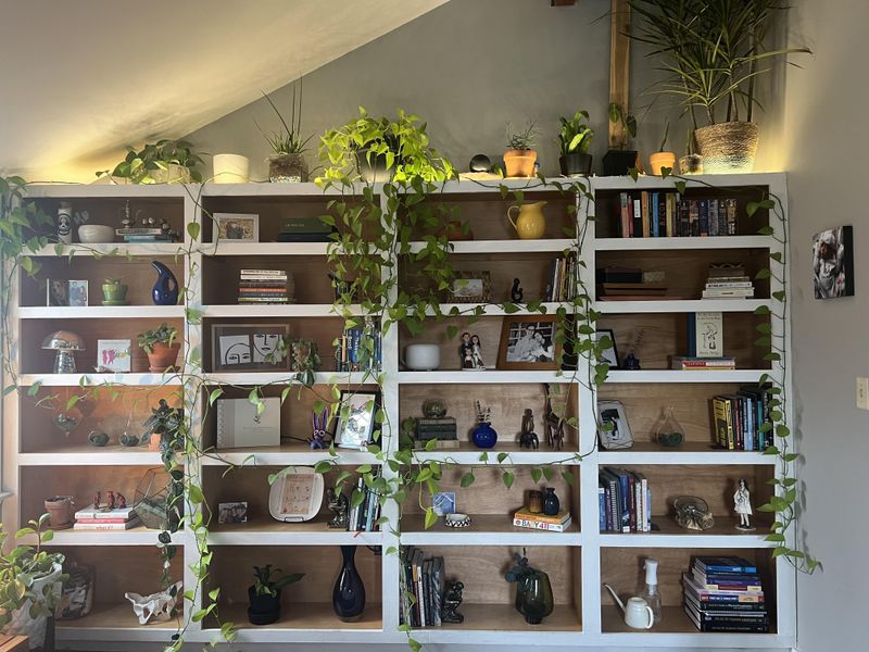 Untidy Shelves