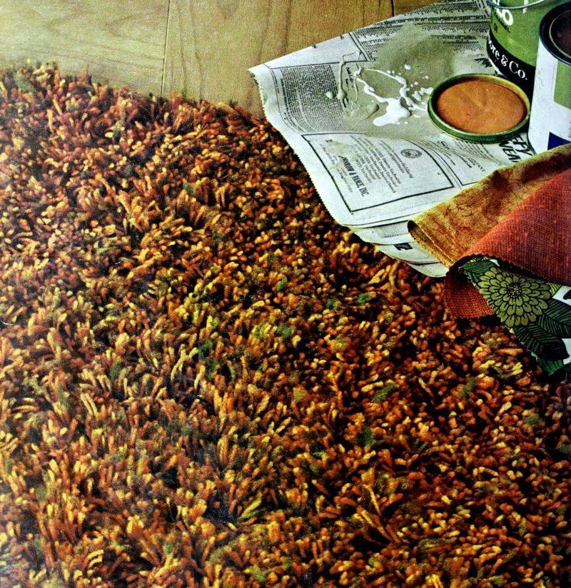 I've Seen These 10 Outdated Decor Choices Again And Again And These 5 Are The Worst Offenders - Decor Hint Shag Carpeting