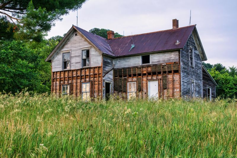 Overgrown Grass And Weeds