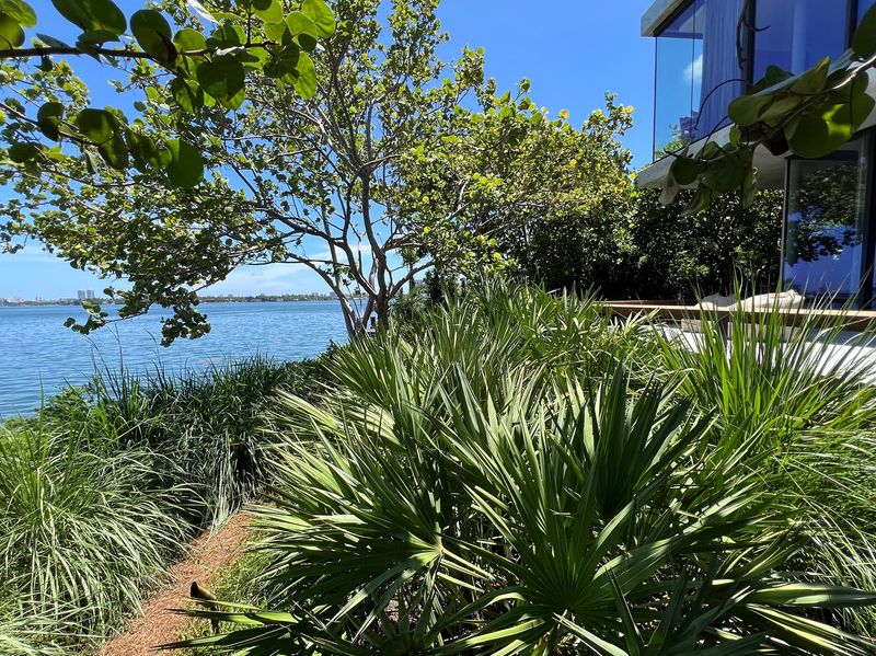 10 Desert-Friendly Exterior Design Ideas Perfect For Miami Homes - Decor Hint Xeriscape Gardens with Native Plants