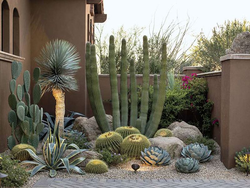 Phoenix Know-How 10 Creative Outdoor Designs For Thriving In The Desert - Decor Hint Desert-Friendly Succulent Gardens
