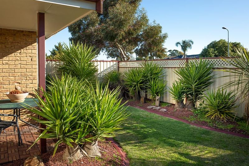 How Arizona's Outdoor Spaces Beat The Heat With Style - Decor Hint Native Plant Landscaping Creates Natural Cooling