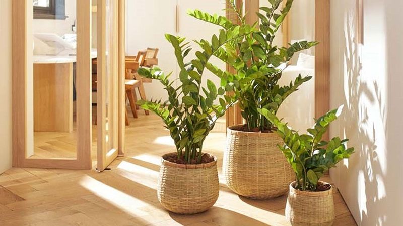 20 Common Mistakes That Make Your Home Look Tacky - And What To Do Instead - Decor Hint Using Fake Plants That Look Obvious