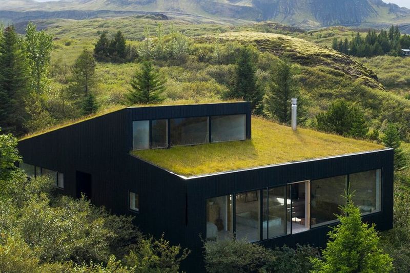12 Scandinavian-Inspired Exterior Touches From Minnesota Cabins - Decor Hint Grass-Covered Roofs