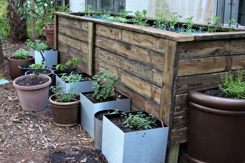 Building Raised Garden Beds Using Reclaimed Wood