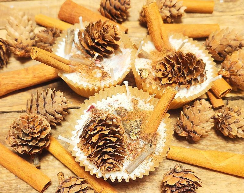 Simple Weekend DIY Ideas Catching On In Illinois - Decor Hint Homemade Fire Starters