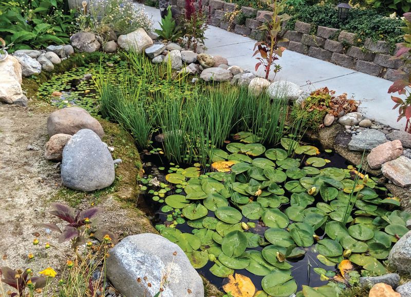 8 Garden Spaces That Quietly Shine Across Oregon - Decor Hint Stone-Edged Rainwater Gardens