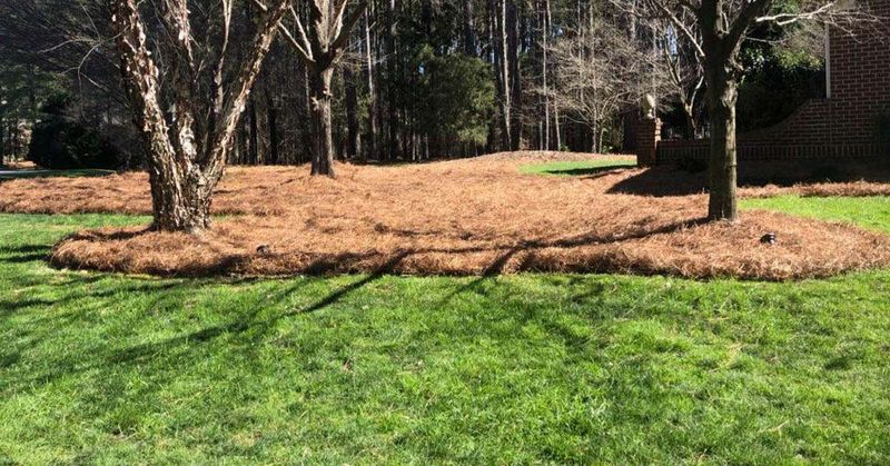 21 Sustainable Front Yard Landscaping Ideas With Rocks And Mulch - Decor Hint Pine Straw Mulch Beds
