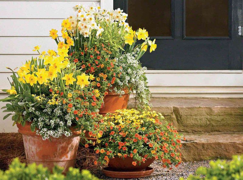 20 Front Yard Ideas That Look Professionally Landscaped - Decor Hint Potted Plants on Steps or Porch