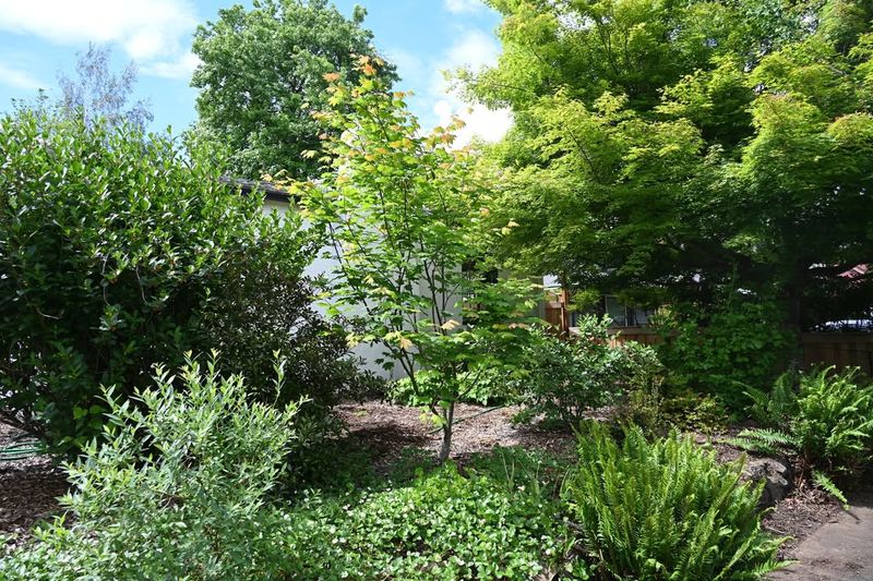 8 Garden Spaces That Quietly Shine Across Oregon - Decor Hint Native Plant Havens with Wild Charm