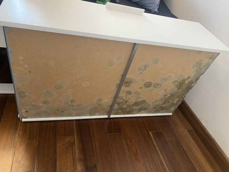 5 Living Room Items In Olympia That May Be Losing Value And 3 Others Some Say Were Never A Good Fit - Decor Hint Particle Board Furniture Fails Our Climate Test