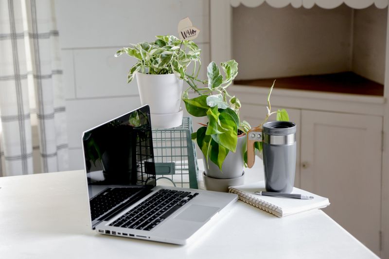 12 Budget-Friendly Hacks To Transform Your Home Office - Decor Hint Incorporate Affordable Greenery