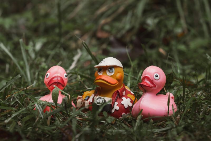 Scattered Toys