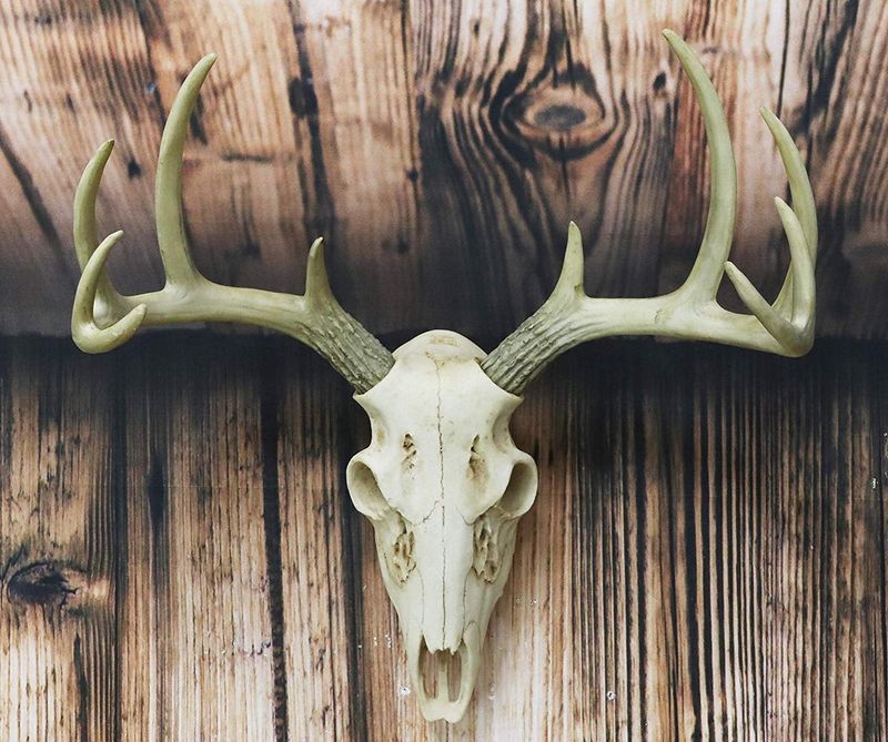 13 Nostalgic Texas Decor Trends You Rarely See Outside The South - Decor Hint Antler Decor and Mounts