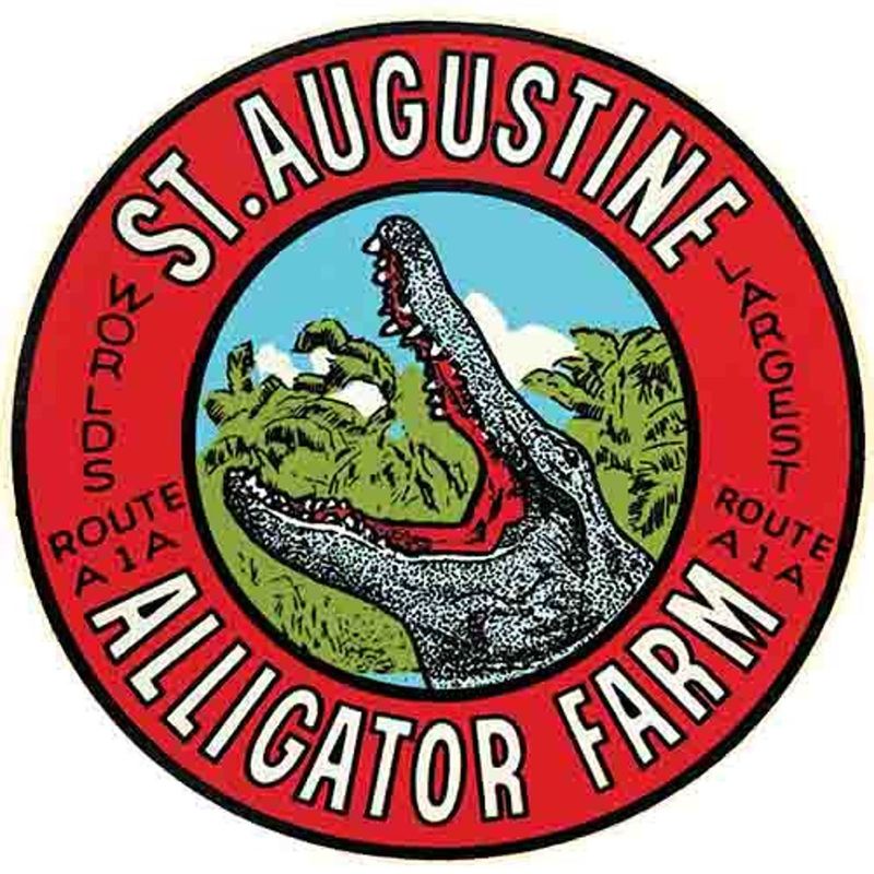 Alligator Memorabilia