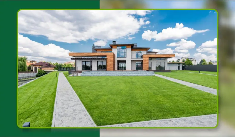 Grass Lawns That Demand Constant Watering
