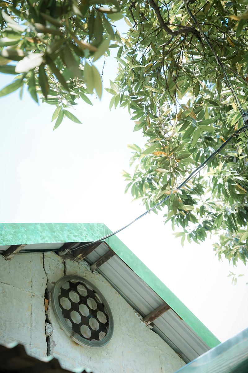 Excessive Roof Vents And Protrusions