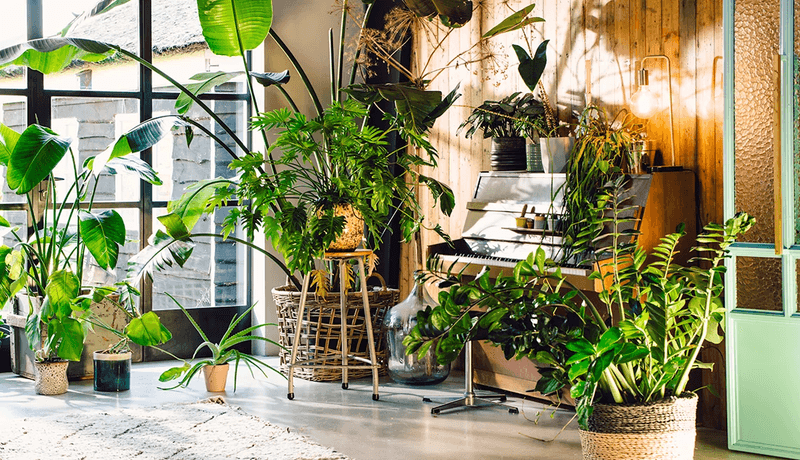 10 Stylish Retro Decor Pieces Back In Style And 6 You Should Still Avoid - Decor Hint Houseplants Galore