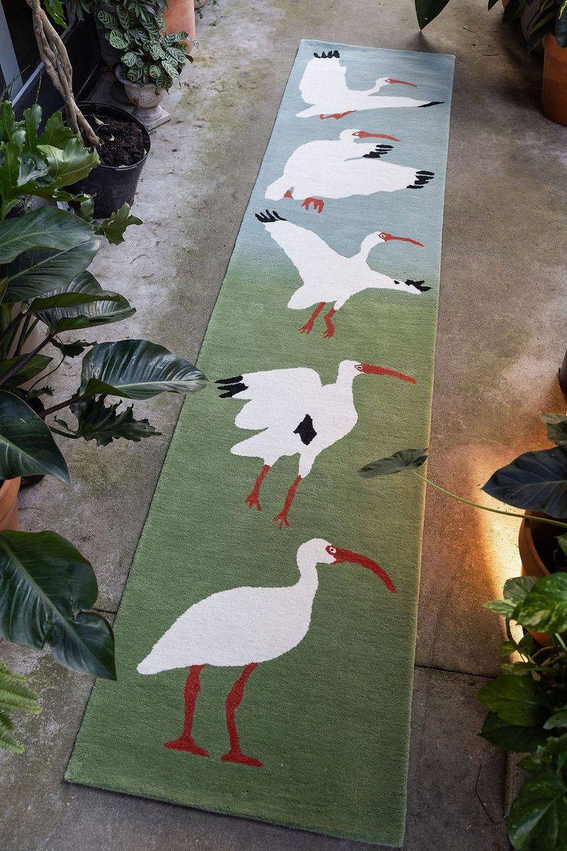 Ibis Runner