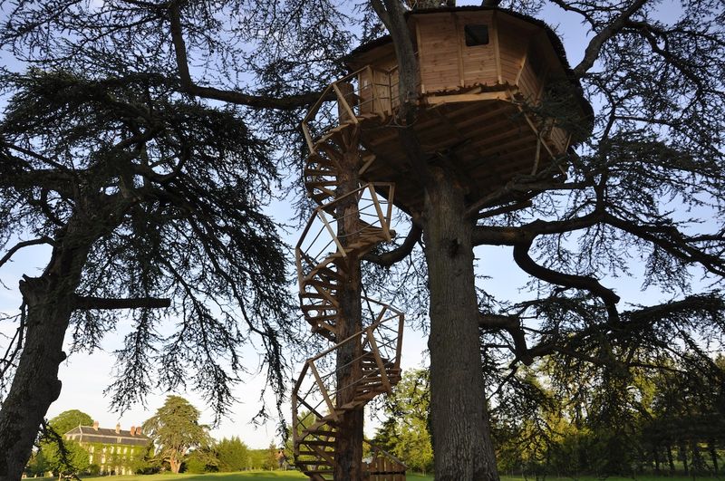 The Château in the Sky at France's Loire Valley Treescape