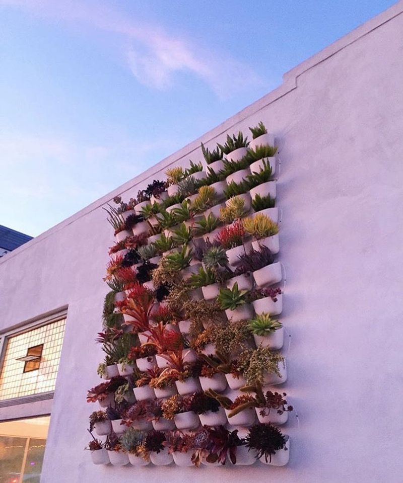Living Walls