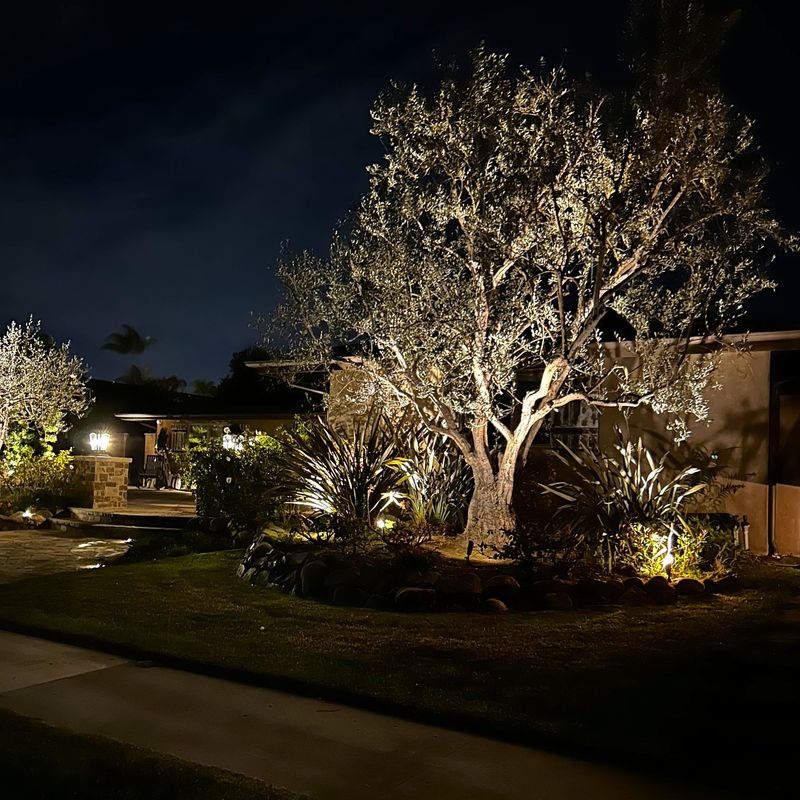 Exterior Lighting