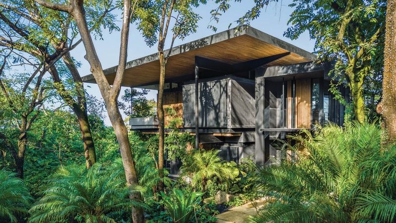 15 Black Homes That Break All The Rules - Decor Hint Rainforest Canopy Blend