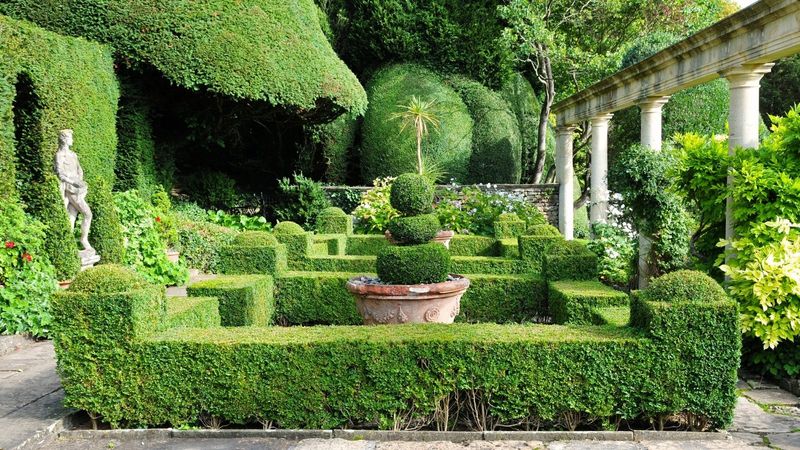 Manicured Topiary