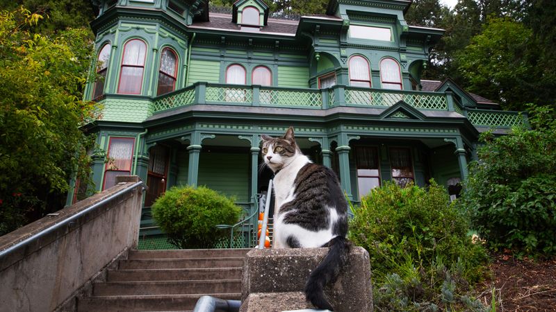 Shelton McMurphey Johnson House In Eugene Showcases Victorian Charm Inside And Out - Decor Hint Information For Potential Visitors