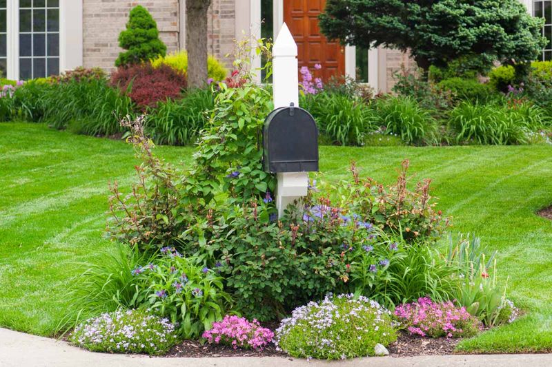 Neglected Mailbox Area