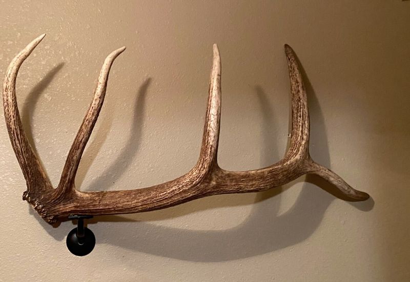 Antler Overload