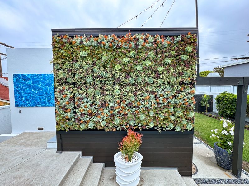 9 Bathroom Features California Homeowners Are Quietly Obsessed With - Decor Hint Living Walls of Drought-Resistant Plants