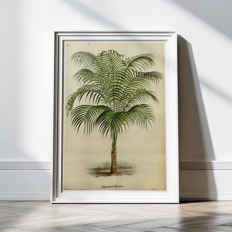 Vintage Fan Palm Prints