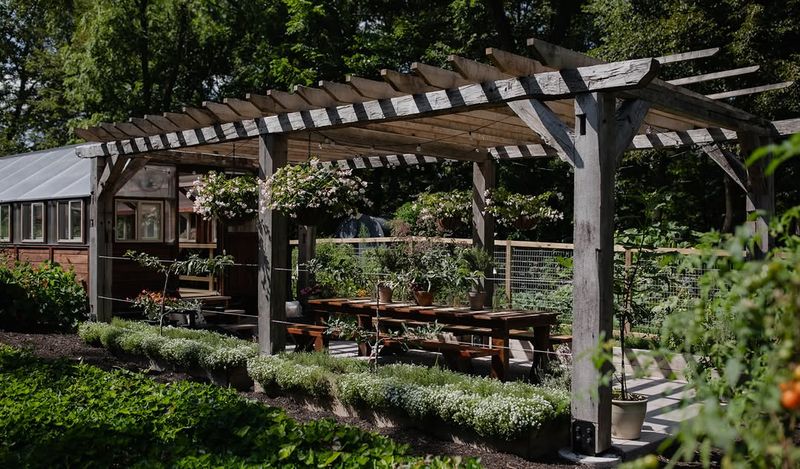 9 Cozy Patios That Define Everyday Life In Asheville - Decor Hint Farm-To-Table Herb Stations