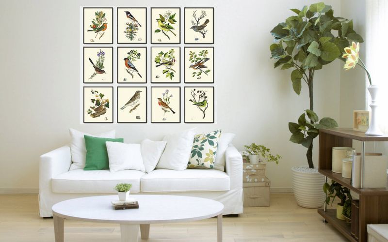 9 Vintage And Antique Decor Pieces You Should Avoid Having In Your Home And 9 To Own Instead - Decor Hint Own: Botanical Prints
