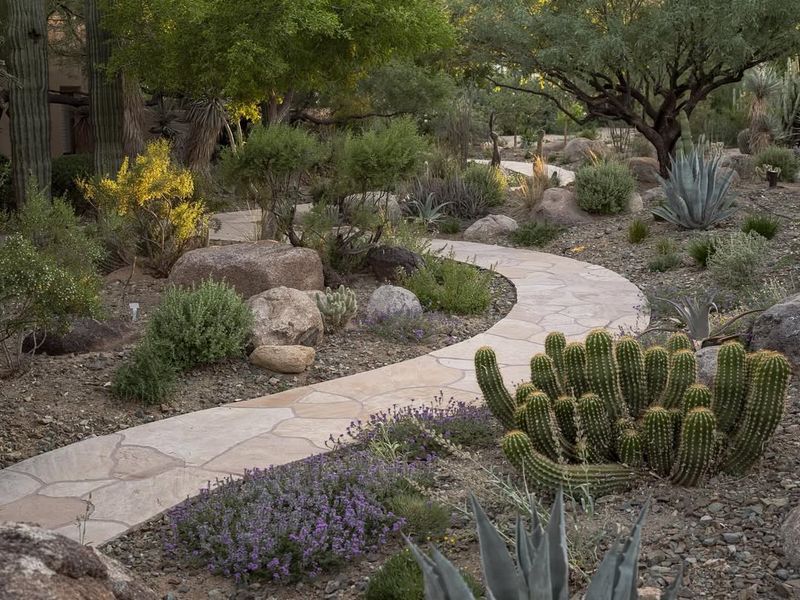 8 Backyard Patio Trends That Rule Arizona Outdoor Living - Decor Hint Desert-Inspired Xeriscaping