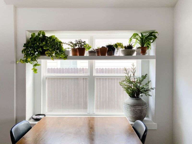 Windowsill Extensions