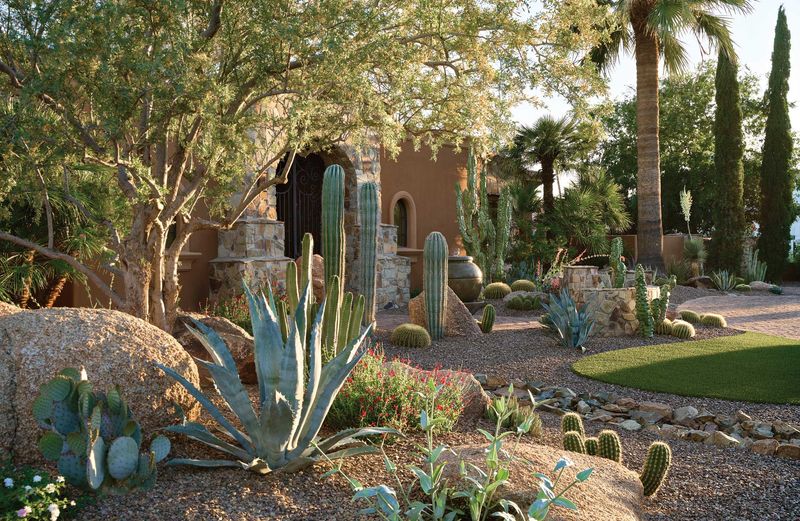 Xeriscaped Front Yards With Native Plants