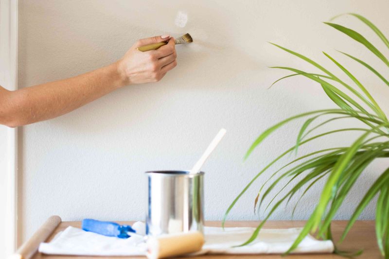 13 Cheap Fixes That Will Make Your House Feel Nicer - Decor Hint Touch Up Paint on Scuffed Walls